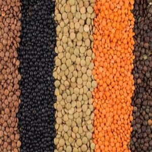 Lentils