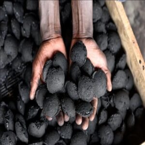 Charcoal Briquettes