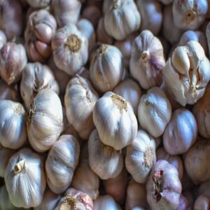 Fresh Garlic