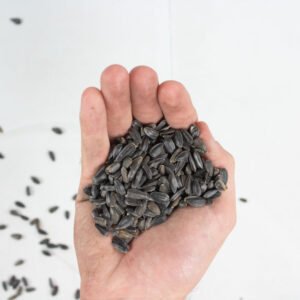 Sunflower Seeds Black With Shell