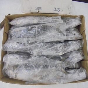 Frozen Sardine Fish