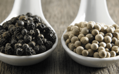 Exploring the Rich Flavors of Black and White Pepper: A Culinary Staple