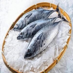 Frozen Tuna Fish
