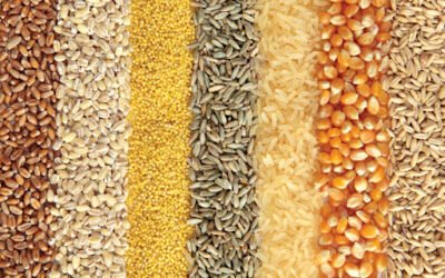Choosing the Right Grain for Your Culinary Needs: A Guide to Rice, Lentils, and Wheat Flour