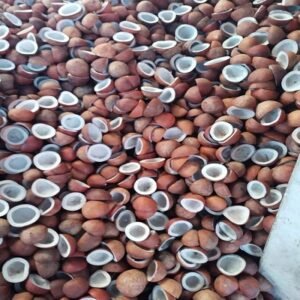 Edible Dried Coconut Medium, For Food